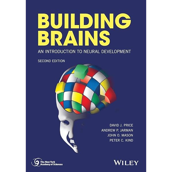 Amazon.com: Basic Vision: An Introduction to Visual Perception